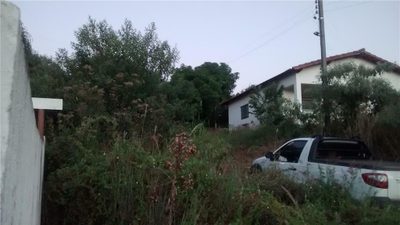 Sítio, 4 quartos, 2 hectares - Foto 3