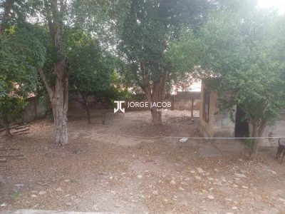 Casa, 3 quartos, 525 m² - Foto 4