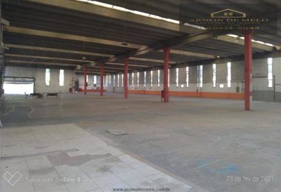 Depósito-Galpão, 5000 m² - Foto 5