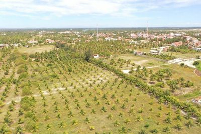 Terreno, 4700 m² - Foto 4
