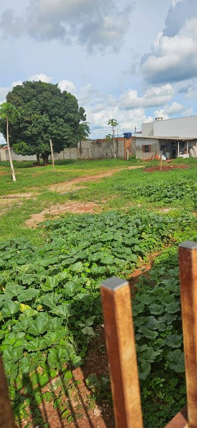 Terreno, 3150 m² - Foto 5