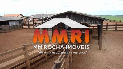 Fazenda, 12 hectares - Foto 4