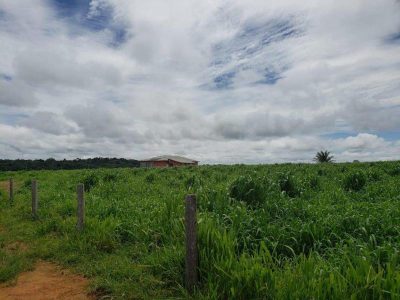 Fazenda - Foto 4