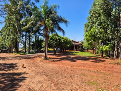 Sítio, 3 quartos, 8000 m² - Foto 2