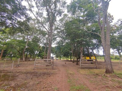 Terreno, 250 m² - Foto 4