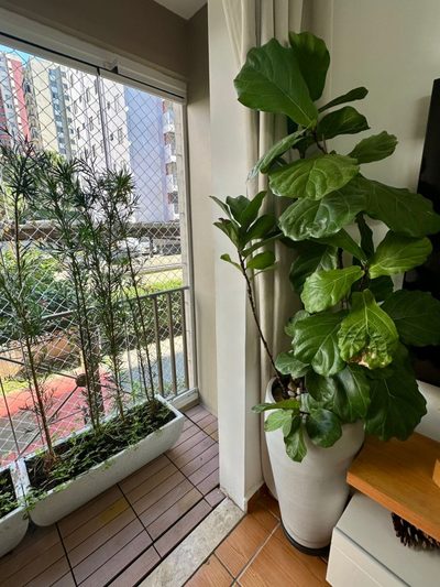 Apartamento, 3 quartos, 63 m² - Foto 4