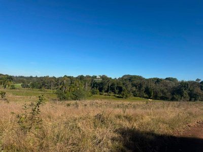 Terreno, 4600 m² - Foto 5