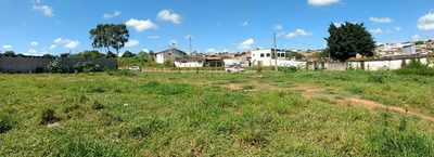 Terreno, 2 hectares - Foto 3
