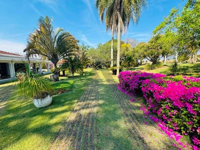 Chácara, 5 quartos, 3 hectares - Foto 4