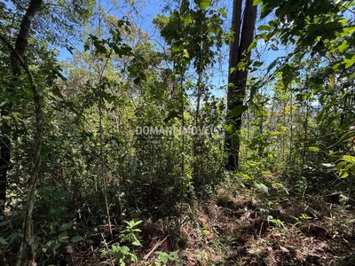 Terreno, 1500 m² - Foto 3