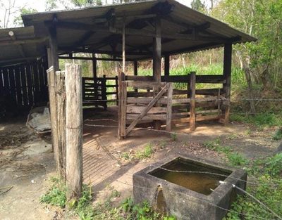 Sítio, 3 quartos, 6 hectares - Foto 4
