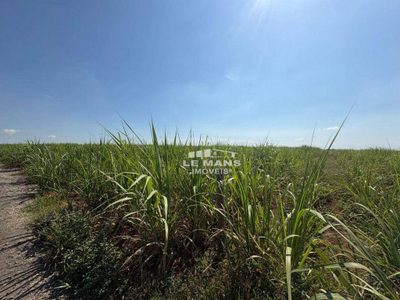 Terreno, 4 hectares - Foto 4