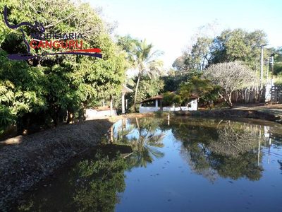 Prédio Inteiro, 8050 m² - Foto 2