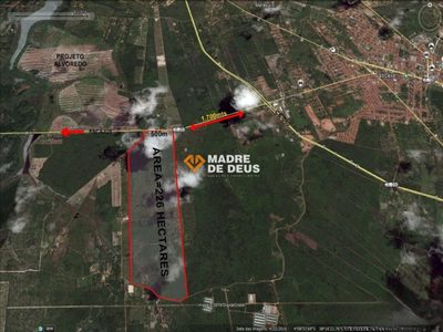 Terreno, 198 hectares - Foto 2