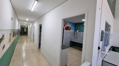 Loja-Salão, 150 m² - Foto 4