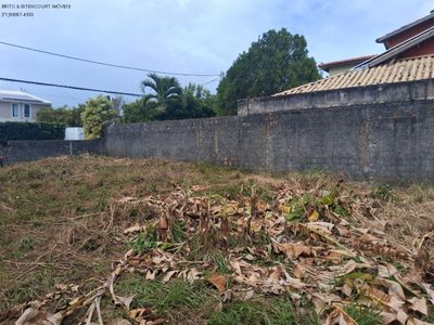 Terreno, 100 m² - Foto 4
