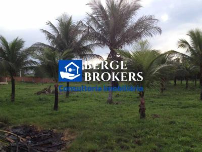 Terreno, 1 hectares - Foto 4