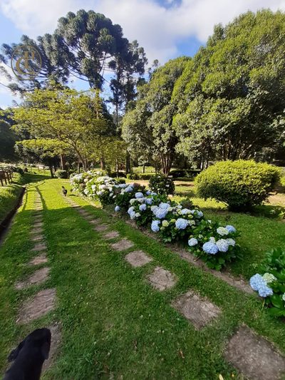 Fazenda, 5 m² - Foto 5
