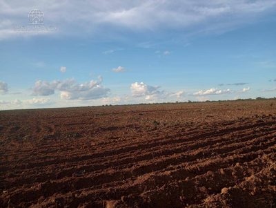 Prédio Inteiro - Foto 1