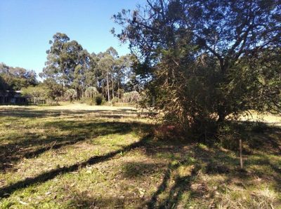 Terreno, 2499 m² - Foto 1