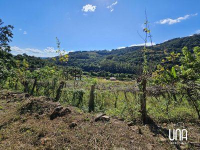 Sítio, 8900 m² - Foto 1