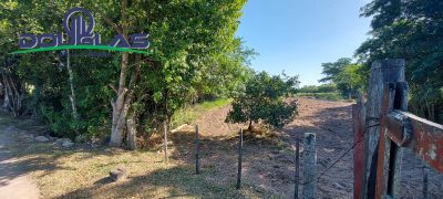 Terreno - Foto 2