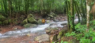 Sítio, 1 quarto, 3 hectares - Foto 3