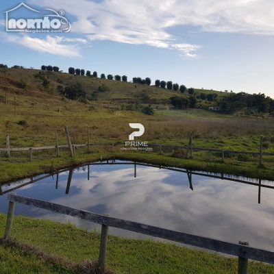 Casa, 5 quartos, 250 m² - Foto 3