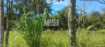 Terreno, 575 m² - Foto 3