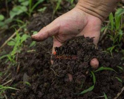 Fazenda, 7260 hectares - Foto 3