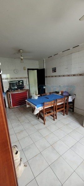 Apartamento - Foto 4
