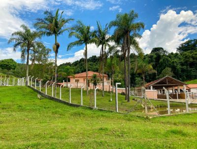 Fazenda, 97 hectares - Foto 2