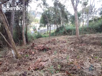 Casa, 4200 m² - Foto 4