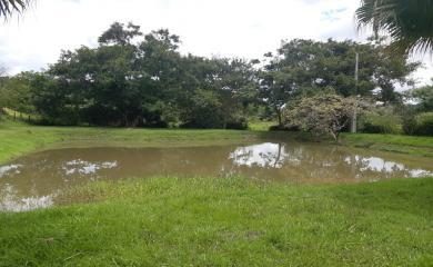 Sítio, 4 quartos, 16 hectares - Foto 5