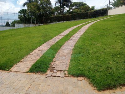 Terreno, 1500 m² - Foto 3