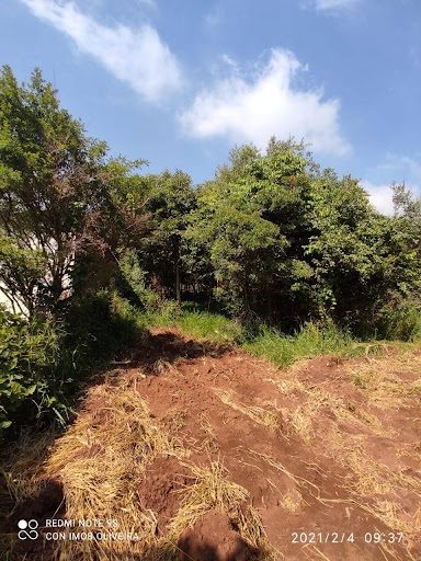 Terreno - Foto 5