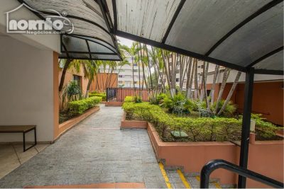Casa, 2 quartos, 60 m² - Foto 3