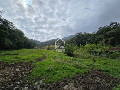 Sítio, 3 quartos, 9 hectares - Foto 3
