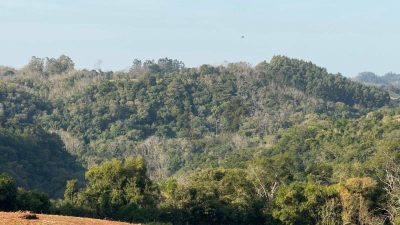 Terreno, 31 hectares - Foto 2