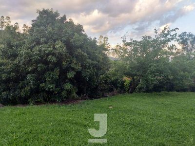 Sítio, 5 quartos, 500 m² - Foto 2