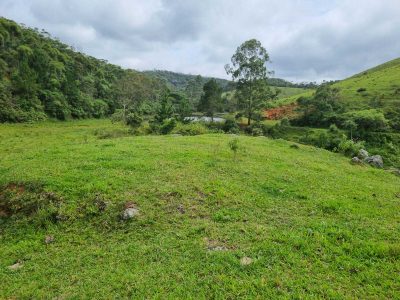 Chácara, 2 quartos, 540 hectares - Foto 1