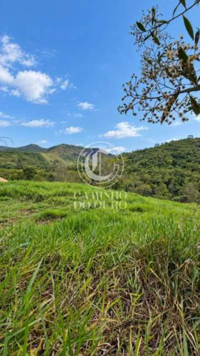 Terreno, 1754 m² - Foto 3