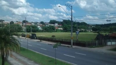 Terreno, 4 hectares - Foto 4
