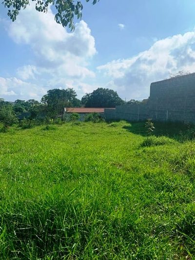 Terreno, 1500 m² - Foto 5