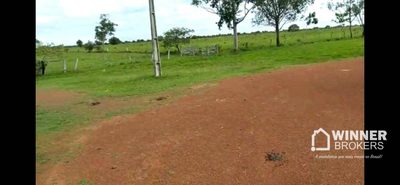 Fazenda, 90527 hectares - Foto 3