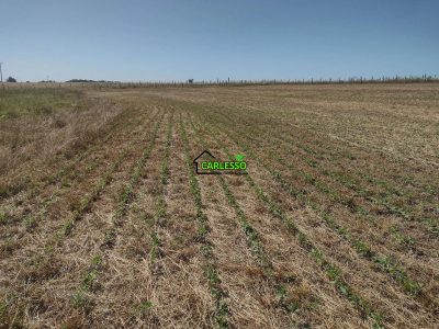 Sítio, 18 hectares - Foto 4