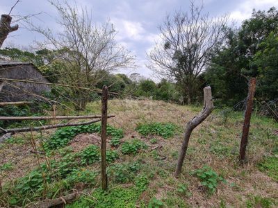 Terreno, 1354 m² - Foto 2