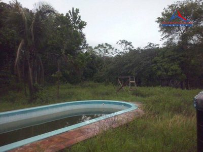 Terreno, 11 hectares - Foto 4