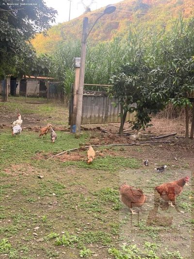 Fazenda, 5 m² - Foto 4
