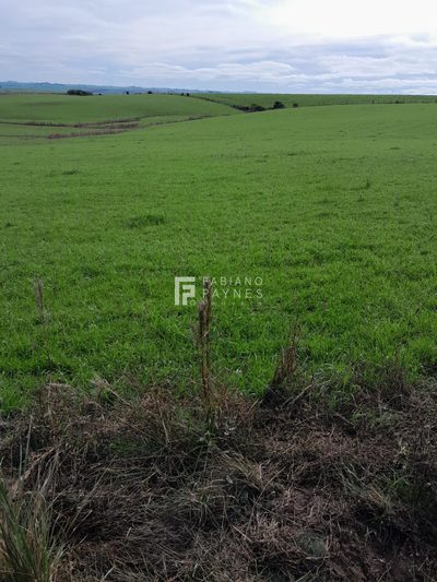 Sítio, 15 hectares - Foto 4